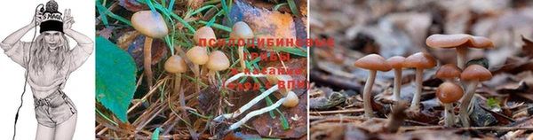 кокаин колумбия Куйбышев