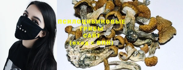 твердый Кукмор